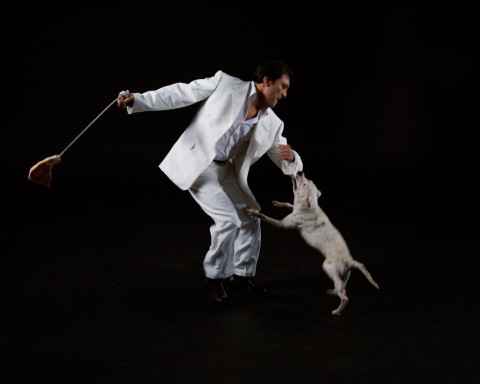 A man dancing with a dog biting his sleeve