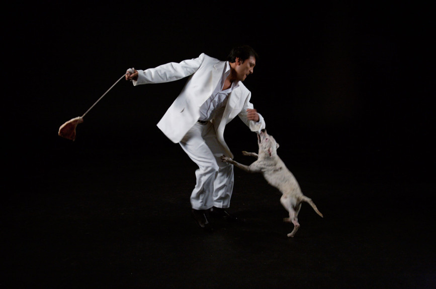 A man dancing while a dog bites his sleeve